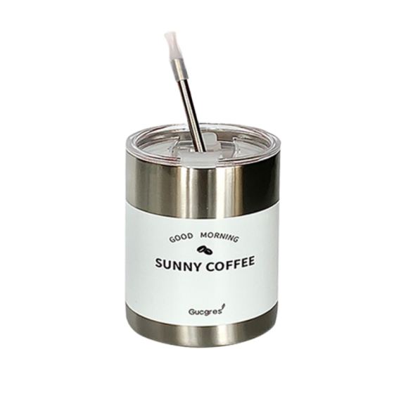 Creative Double-wall Minimalist Stainless Steel Travel Tumbler, Vacuum Insulated Metal Cup with Lid and Straw