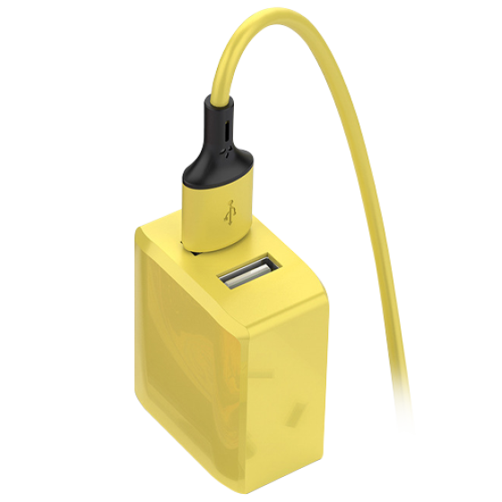 Custom Charger + Data Cable